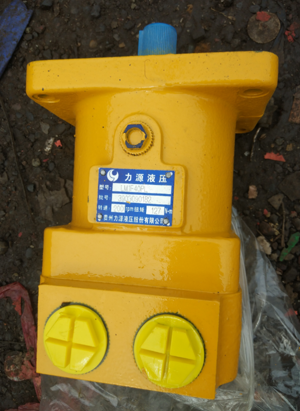 SANY truck crane slewing motor LY-M1F40P