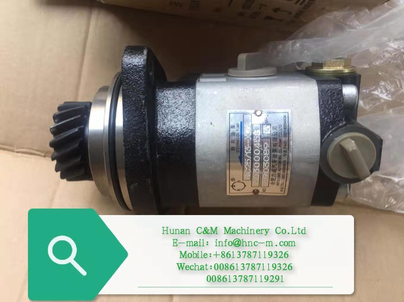 XCMG truck crane streeing pump XZZX-B301 803000458