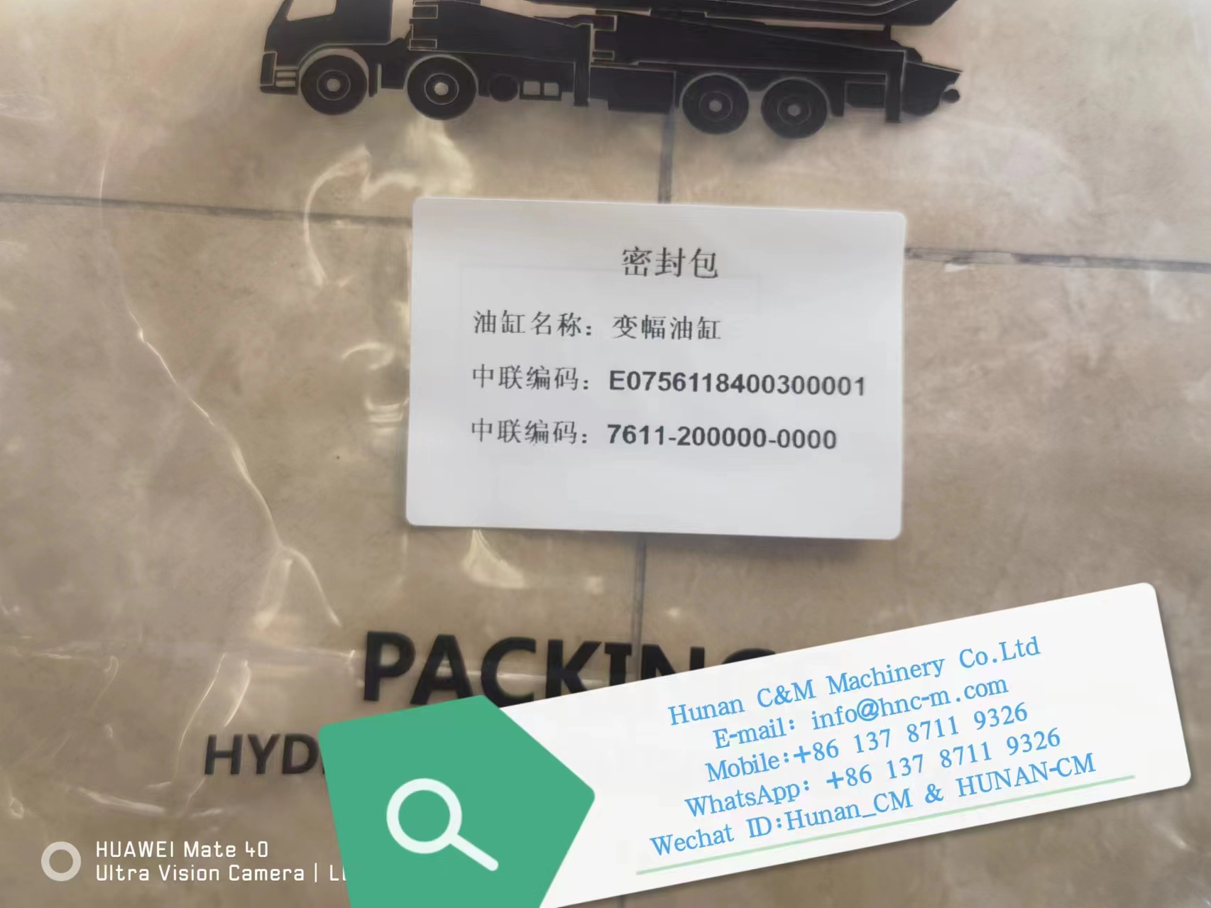 ZOOMLION mobile crane RT750 derricking cylinder  00756118400300000 seal kits E0756118400300001