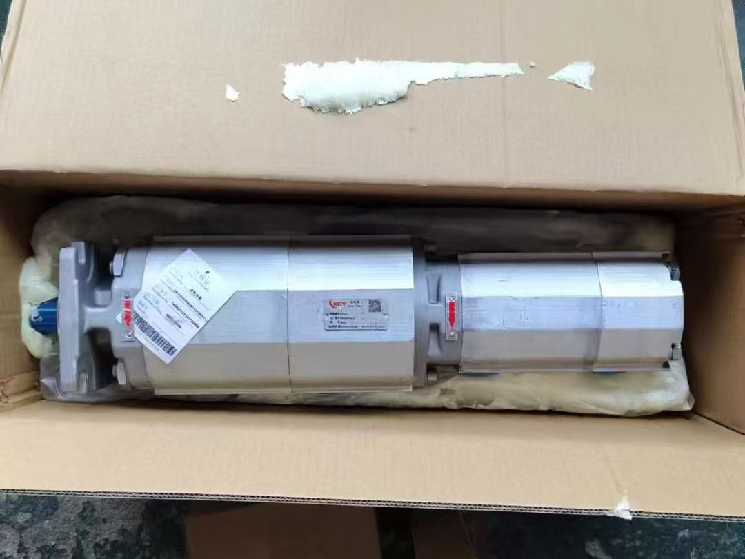 XCMG mobile crane gear pump 114040114 